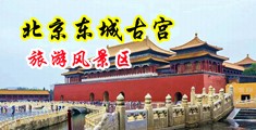 操女高中生中国北京-东城古宫旅游风景区